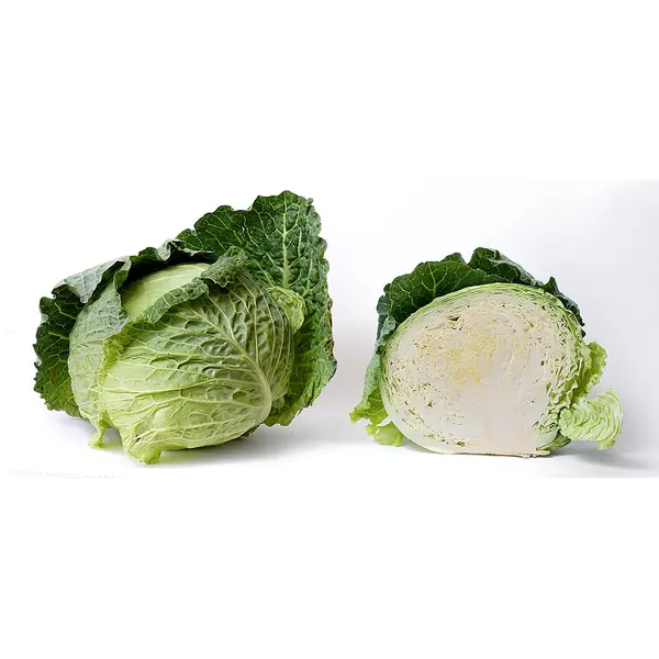 Savoy Cabbage